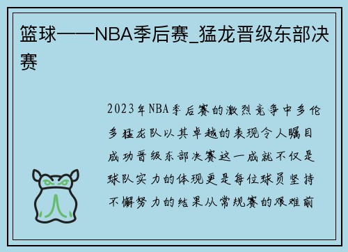 篮球——NBA季后赛_猛龙晋级东部决赛