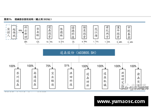 DP真人官方网站复合集流体行业专题报告：进入加速落地阶段，设备最受益 - 副本