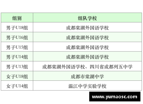 k1体育官方网站成都国际学校2023年的入学条件解析 - 副本